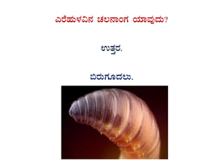 JgÉºÀÄ¼À«£À ZÀ®£ÁAUÀ AiÀiÁªÀÅzÀÄ?
GvÀÛgÀ.
©gÀÄUÀÆzÀ®Ä.
 