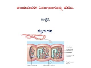 ªÀ®AiÀÄªÀAvÀUÀ¼ÀÀ «¸Àdð£ÁAUÀªÀ£ÀÄß ºÉ¸Àj¹.
GvÀÛgÀ.
£É¦üæÃrAiÀiÁ.
 