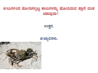 QÃ®ÄUÀ½AzÀ eÉÆÃr¸À®àlÖ PÁ®ÄUÀ¼À£ÀÄß ºÉÆA¢gÀÄªÀ ¥ÁætÂ ªÀA±À
AiÀiÁªÀÅzÀÄ?
GvÀÛgÀ.
QÃ¯ÁÎ°UÀ¼ÀÄ.
 