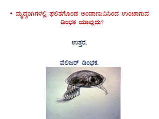 • ªÀÄÈzÀéAVUÀ¼À°è ¥sÀ°vÀUÉÆAqÀ CAqÁtÄ«¤AzÀ GAmÁUÀÄªÀ
rA¨sÀPÀ AiÀiÁªÀÅzÀÄ?
GvÀÛgÀ.
ªÉ°dgï rA¨sÀPÀ.
 