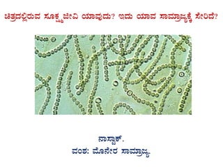 avÀæzÀ°ègÀÄªÀ ¸ÀÆPÀëöäfÃ« AiÀiÁªÀÅzÀÄ? EzÀÄ AiÀiÁªÀ ¸ÁªÀiÁædåPÉÌ ¸ÉÃjzÉ?
GvÀÛgÀ.
£Á¸ÁÖPï.
ªÀA±À: ªÉÆ£ÉÃgÀ ¸ÁªÀiÁædå.
 