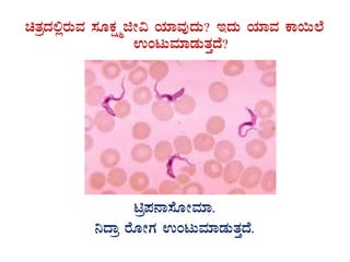 avÀæzÀ°ègÀÄªÀ ¸ÀÆPÀëöäfÃ« AiÀiÁªÀÅzÀÄ? EzÀÄ AiÀiÁªÀ PÁ¬Ä¯É
GAlÄªÀiÁqÀÄvÀÛzÉ?
GvÀÛgÀ.
næ¥À£Á¸ÉÆÃªÀiÁ.
¤zÁæ gÉÆÃUÀ GAlÄªÀiÁqÀÄvÀÛzÉ.
 