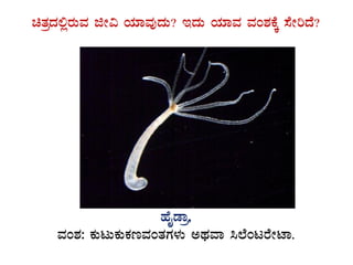 avÀæzÀ°ègÀÄªÀ fÃ« AiÀiÁªÀÅzÀÄ? EzÀÄ AiÀiÁªÀ ªÀA±ÀPÉÌ ¸ÉÃjzÉ?
GvÀÛgÀ.
ºÉÊqÁæ,
ªÀA±À: PÀÄlÄPÀÄPÀtªÀAvÀUÀ¼ÀÄ CxÀªÁ ¹¯ÉAlgÉÃmÁ.
 