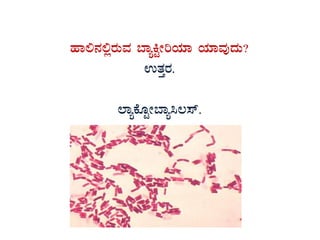 ºÁ°£À°ègÀÄªÀ ¨ÁåQÖÃjAiÀiÁ AiÀiÁªÀÅzÀÄ?
GvÀÛgÀ.
¯ÁåPÉÆÖÃ¨Áå¹®¸ï.
 