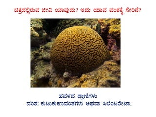 avÀæzÀ°ègÀÄªÀ fÃ« AiÀiÁªÀÅzÀÄ? EzÀÄ AiÀiÁªÀ ªÀA±ÀPÉÌ ¸ÉÃjzÉ?
GvÀÛgÀ.
ºÀªÀ¼ÀzÀ ¥ÁætÂUÀ¼ÀÄ
ªÀA±À: PÀÄlÄPÀÄPÀtªÀAvÀUÀ¼ÀÄ CxÀªÁ ¹¯ÉAlgÉÃmÁ.
 