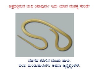 avÀæzÀ°ègÀÄªÀ fÃ« AiÀiÁªÀÅzÀÄ? EzÀÄ AiÀiÁªÀ ªÀA±ÀPÉÌ ¸ÉÃjzÉ?
GvÀÛgÀ.
ªÀiÁ£ÀªÀ PÀgÀÄ½£À zÀÄAqÀÄ ºÀÄ¼ÀÄ.
ªÀA±À: zÀÄAqÀÄºÀÄ¼ÀÄUÀ¼ÀÄ CxÀªÁ Då¸ÉÌ°äAvÀ¸ï.
 