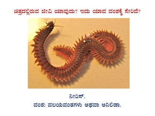 avÀæzÀ°ègÀÄªÀ fÃ« AiÀiÁªÀÅzÀÄ? EzÀÄ AiÀiÁªÀ ªÀA±ÀPÉÌ ¸ÉÃjzÉ?
GvÀÛgÀ.
¤Ãj¸ï.
ªÀA±À: ªÀ®AiÀÄªÀAvÀUÀ¼ÀÄ CxÀªÁ C¤°qÁ.
 