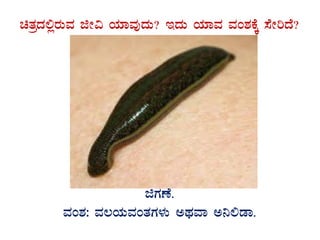 avÀæzÀ°ègÀÄªÀ fÃ« AiÀiÁªÀÅzÀÄ? EzÀÄ AiÀiÁªÀ ªÀA±ÀPÉÌ ¸ÉÃjzÉ?
GvÀÛgÀ.
fUÀuÉ.
ªÀA±À: ªÀ®AiÀÄªÀAvÀUÀ¼ÀÄ CxÀªÁ C¤°qÁ.
 