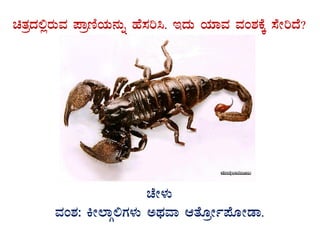 avÀæzÀ°ègÀÄªÀ ¥ÁætÂAiÀÄ£ÀÄß ºÉ¸Àj¹. EzÀÄ AiÀiÁªÀ ªÀA±ÀPÉÌ ¸ÉÃjzÉ?
GvÀÛgÀ.
ZÉÃ¼ÀÄ
ªÀA±À: QÃ¯ÁÎ°UÀ¼ÀÄ CxÀªÁ DvÉÆæÃð¥ÉÆÃqÁ.
 