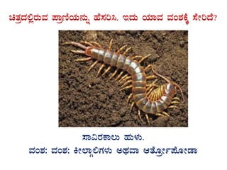 avÀæzÀ°ègÀÄªÀ ¥ÁætÂAiÀÄ£ÀÄß ºÉ¸Àj¹. EzÀÄ AiÀiÁªÀ ªÀA±ÀPÉÌ ¸ÉÃjzÉ?
GvÀÛgÀ.
¸Á«gÀPÁ®Ä ºÀÄ¼ÀÄ.
ªÀA±À: ªÀA±À: QÃ¯ÁÎ°UÀ¼ÀÄ CxÀªÁ DvÉÆæÃð¥ÉÆÃqÁ
 