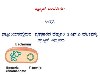 ¥Áè¹äqï JAzÀgÉÃ£ÀÄ?
GvÀÛgÀ.
¨ÁåQÖÃjAiÀiÁzÀ°ègÀÄªÀ ªÀÈvÁÛPÁgÀzÀ ºÉZÀÄÑªÀj r.J£ï.J WÀlPÀªÀ£ÀÄß
¥Áè¹äqï J£ÀÄßªÀgÀÄ.
 