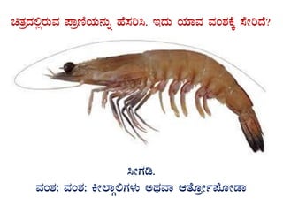 avÀæzÀ°ègÀÄªÀ ¥ÁætÂAiÀÄ£ÀÄß ºÉ¸Àj¹. EzÀÄ AiÀiÁªÀ ªÀA±ÀPÉÌ ¸ÉÃjzÉ?
GvÀÛgÀ.
¹ÃUÀr.
ªÀA±À: ªÀA±À: QÃ¯ÁÎ°UÀ¼ÀÄ CxÀªÁ DvÉÆæÃð¥ÉÆÃqÁ
 