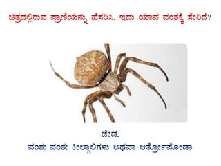 avÀæzÀ°ègÀÄªÀ ¥ÁætÂAiÀÄ£ÀÄß ºÉ¸Àj¹. EzÀÄ AiÀiÁªÀ ªÀA±ÀPÉÌ ¸ÉÃjzÉ?
GvÀÛgÀ.
eÉÃqÀ.
ªÀA±À: ªÀA±À: QÃ¯ÁÎ°UÀ¼ÀÄ CxÀªÁ DvÉÆæÃð¥ÉÆÃqÁ
 