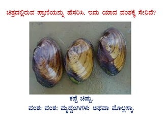 avÀæzÀ°ègÀÄªÀ ¥ÁætÂAiÀÄ£ÀÄß ºÉ¸Àj¹. EzÀÄ AiÀiÁªÀ ªÀA±ÀPÉÌ ¸ÉÃjzÉ?
GvÀÛgÀ.
PÀ¥Éà a¥ÀÄà.
ªÀA±À: ªÀA±À: ªÀÄÈzÀéAVUÀ¼ÀÄ CxÀªÁ ªÉÆ®è¸ÁÌ.
 