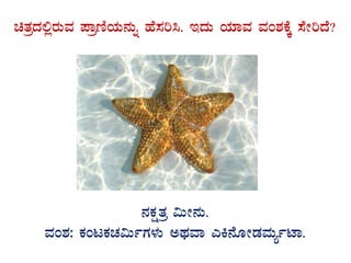 avÀæzÀ°ègÀÄªÀ ¥ÁætÂAiÀÄ£ÀÄß ºÉ¸Àj¹. EzÀÄ AiÀiÁªÀ ªÀA±ÀPÉÌ ¸ÉÃjzÉ?
GvÀÛgÀ.
£ÀPÀëvÀæ «ÄÃ£ÀÄ.
ªÀA±À: PÀAlPÀZÀ«ÄðUÀ¼ÀÄ CxÀªÁ JQ£ÉÆÃqÀªÀÄåðmÁ.
 