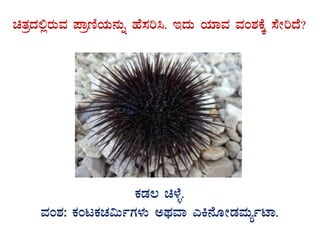 avÀæzÀ°ègÀÄªÀ ¥ÁætÂAiÀÄ£ÀÄß ºÉ¸Àj¹. EzÀÄ AiÀiÁªÀ ªÀA±ÀPÉÌ ¸ÉÃjzÉ?
GvÀÛgÀ.
PÀqÀ® a¼Éî.
ªÀA±À: PÀAlPÀZÀ«ÄðUÀ¼ÀÄ CxÀªÁ JQ£ÉÆÃqÀªÀÄåðmÁ.
 