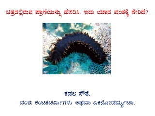 avÀæzÀ°ègÀÄªÀ ¥ÁætÂAiÀÄ£ÀÄß ºÉ¸Àj¹. EzÀÄ AiÀiÁªÀ ªÀA±ÀPÉÌ ¸ÉÃjzÉ?
GvÀÛgÀ.
PÀqÀ® ¸ËvÉ.
ªÀA±À: PÀAlPÀZÀ«ÄðUÀ¼ÀÄ CxÀªÁ JQ£ÉÆÃqÀªÀÄåðmÁ.
 