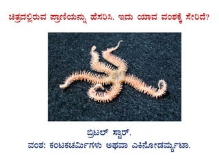 avÀæzÀ°ègÀÄªÀ ¥ÁætÂAiÀÄ£ÀÄß ºÉ¸Àj¹. EzÀÄ AiÀiÁªÀ ªÀA±ÀPÉÌ ¸ÉÃjzÉ?
GvÀÛgÀ.
©æl¯ï ¸ÁÖgï.
ªÀA±À: PÀAlPÀZÀ«ÄðUÀ¼ÀÄ CxÀªÁ JQ£ÉÆÃqÀªÀÄåðmÁ.
 