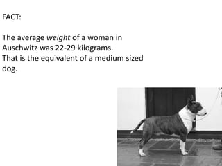 FACT:

The average weight of a woman in
Auschwitz was 22-29 kilograms.
That is the equivalent of a medium sized
dog.
 
