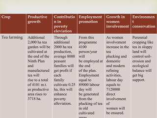 
Crop Productive
growth
Contributio
n in
poverty
eleviation
Employment
promotion
Growth in
women
involvement
Environmen
t
conservation
Tea farming Additional
2,000 ha tea
garden will be
cultivated at
the end of the
Ninth Plan
and
manufactured
tea will
rise to a total
of 4101 m.t.
as productive
area rises to
3718 ha.
Through
additional
2000 ha tea
production,
average 8000
peasant
families will
get profit if
each
family
cultivate 0.25
ha, this will
enhance
poverty
alleviation.
From this
programme
4100
person/year
will
be employed at
the end
of the plan.
Employment
equal to
89000 labour
day will
be generated
from the
plucking of tea
in old
cultivated
As women
involvement
increase in the
tea
plucking and
domestic
and modern
refining
activities,
labour day
equals to
7128000
direct
involvement
of
women will
be ensured.
Perennial
cropping like
tea in sloppy
land will
control soil-
erosion and
ecological
balance will
get big
support.
 