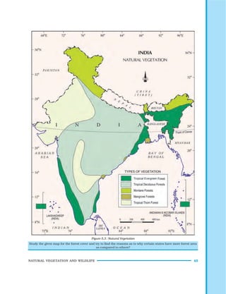 NATURAL VEGETATION AND WILDLIFE 45
Study the given map for the forest cover and try to find the reasons as to why certain states have more forest area
as compared to others?
Figure 5.3 : Natural Vegetation
 