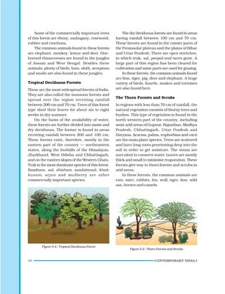 46 CONTEMPORARY INDIA-I
The dry deciduous forests are found in areas
having rainfall between 100 cm and 70 cm.
These forests are found in the rainier parts of
the Peninsular plateau and the plains of Bihar
and Uttar Pradesh. There are open stretches,
in which teak, sal, peepal and neem grow. A
large part of this region has been cleared for
cultivation and some parts are used for grazing.
In these forests, the common animals found
are lion, tiger, pig, deer and elephant. A huge
variety of birds, lizards, snakes and tortoises
are also found here.
The Thorn Forests and Scrubs
In regions with less than 70 cm of rainfall, the
natural vegetation consists of thorny trees and
bushes. This type of vegetation is found in the
north-western part of the country, including
semi-arid areas of Gujarat, Rajasthan, Madhya
Pradesh, Chhattisgarh, Uttar Pradesh and
Haryana. Acacias, palms, euphorbias and cacti
are the main plant species. Trees are scattered
and have long roots penetrating deep into the
soil in order to get moisture. The stems are
succulent to conserve water. Leaves are mostly
thick and small to minimise evaporation. These
forests give way to thorn forests and scrubs in
arid areas.
In these forests, the common animals are
rats, mice, rabbits, fox, wolf, tiger, lion, wild
ass, horses and camels.
Figure 5.5 : Thorn Forests and Scrubs
Some of the commercially important trees
of this forest are ebony, mahogany, rosewood,
rubber and cinchona.
The common animals found in these forests
are elephant, monkey, lemur and deer. One-
horned rhinoceroses are found in the jungles
of Assam and West Bengal. Besides these
animals, plenty of birds, bats, sloth, scorpions
and snails are also found in these jungles.
Tropical Deciduous Forests
These are the most widespread forests of India.
They are also called the monsoon forests and
spread over the region receiving rainfall
between 200 cm and 70 cm. Trees of this forest
type shed their leaves for about six to eight
weeks in dry summer.
On the basis of the availability of water,
these forests are further divided into moist and
dry deciduous. The former is found in areas
receiving rainfall between 200 and 100 cm.
These forests exist, therefore, mostly in the
eastern part of the country — northeastern
states, along the foothills of the Himalayas,
Jharkhand, West Odisha and Chhattisgarh,
and on the eastern slopes of the Western Ghats.
Teak is the most dominant species of this forest.
Bamboos, sal, shisham, sandalwood, khair,
kusum, arjun and mulberry are other
commercially important species.
Figure 5.4 : Tropical Deciduous Forest
 