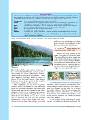 48 CONTEMPORARY INDIA-I
MEDICINAL PLANTS
India is known for its herbs and spices from ancient times. Some 2,000 plants have been described in Ayurveda
and at least 500 are in regular use. The World Conservation Union’s Red List has named 352 medicinal plants
of which 52 are critically threatened and 49 endangered. The commonly used plants in India are:
Sarpagandha : Used to treat blood pressure; it is found only in India.
Jamun : The juice from ripe fruit is used to prepare vinegar, which is carminative and diuretic, and
has digestive properties. The powder of the seed is used for controlling diabetes.
Arjun : The fresh juice of leaves is a cure for earache. It is also used to regulate blood pressure.
Babool : Leaves are used as a cure for eye sores. Its gum is used as a tonic.
Neem : Has high antibiotic and antibacterial properties.
Tulsi : Is used to cure cough and cold.
Kachnar : Is used to cure asthma and ulcers. The buds and roots are good for digestive problems.
Identify more medicinal plants in your area. Which plants are used as medicines by local
people to cure some diseases?
WILDLIFE
Like its flora, India is also rich in its fauna. It
has approximately 90,000 animal species.
The country has about 2,000 species of birds.
They constitute 13% of the world’s total. There
are 2,546 species of fish, which account for
nearly 12% of the world’s stock. It also shares
between 5 and 8 per cent of the world’s
amphibians, reptiles and mammals.
The elephants are the most majestic
animals among the mammals. They are found
in the hot wet forests of Assam, Karnataka and
Kerala. One-horned rhinoceroses are the other
animals, which live in swampy and marshy
lands of Assam and West Bengal. Arid areas
of the Rann of Kachchh and the Thar Desert
are the habitat for wild ass and camels
respectively. Indian bison, nilgai (blue bull),
chousingha (four-horned antelope), gazel and
different species of deer are some
other animals found in India. It also
has several species of monkeys.
Wildlife Protection Act
was implemented in 1972 in India.
India is the only country in the
world that has both tigers and lions.
The natural habitat of the Indian lion
is the Gir forest in Gujarat. Tigers are
foundintheforestsofMadhyaPradesh,
theSundarbansofWestBengalandthe
Himalayan region. Leopards, too, are
members of the cat family. They are
important among animals of prey.
The Himalayas harbour a hardy range of
animals, which survive in extreme cold.
Ladakh’s freezing high altitudes are a home to
yak, the shaggy horned wild ox weighing
around one tonne, the Tibetan antelope, the
bharal (blue sheep), wild sheep, and the kiang
(Tibetan wild ass). Furhtermore, the ibex, bear,
snow-leopard and rare red panda are found
in certain pockets.
In the rivers, lakes and coastal areas,
turtles, crocodiles and gharials are found. The
Source : Medicinal Plants by Dr. S.K. Jain, 5th edition 1994, National Book Trust of India
Activity
Can you identify the type of forest shown in this picture?
Identify some trees in it. What type of similarity/
dissimilarity you notice in this type of vegetation from
the one found in your region?
Do you know
The Gir Forest is the
last remaining habitat
of the Asiatic lion.
 