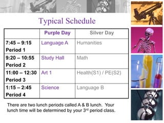 Typical Schedule
Purple Day

Silver Day

7:45 – 9:15
Period 1

Language A

Humanities

9:20 – 10:55
Period 2

Study Hall

Math

11:00 – 12:30 Art 1
Period 3

Health(S1) / PE(S2)

1:15 – 2:45
Period 4

Language B

Science

There are two lunch periods called A & B lunch. Your
lunch time will be determined by your 3rd period class.

 