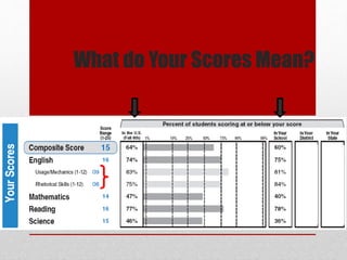 What do Your Scores Mean?
 