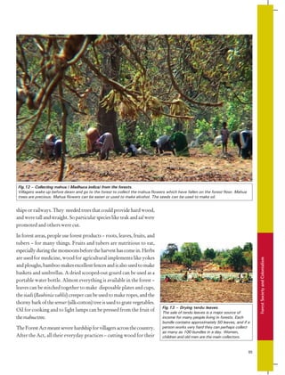 Siadi Ropes 9TH HISTORY.pdf