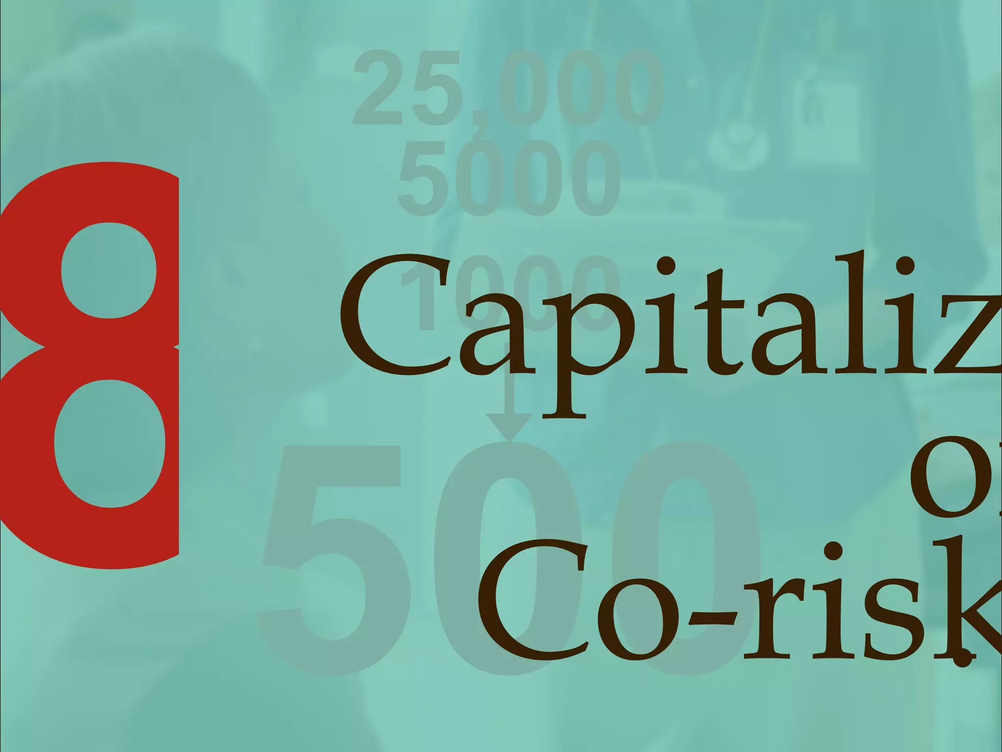 25,000 5000 1000 500 8 Capitalize on Co-risks . 