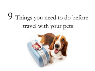 9 Things you need to do before 
travel with your pets 
 