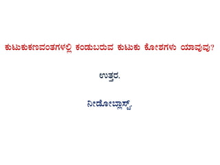 PÀÄlÄPÀÄPÀtªÀAvÀUÀ¼À°è PÀAqÀÄ§gÀÄªÀ PÀÄlÄPÀÄ PÉÆÃ±ÀUÀ¼ÀÄ AiÀiÁªÀÅªÀÅ?
GvÀÛgÀ.
¤ÃqÉÆÃ¨Áè¸ïÖ.
 