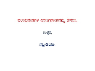 ªÀ®AiÀÄªÀAvÀUÀ¼ÀÀ «¸Àdð£ÁAUÀªÀ£ÀÄß ºÉ¸Àj¹.
GvÀÛgÀ.
£É¦üæÃrAiÀiÁ.
 