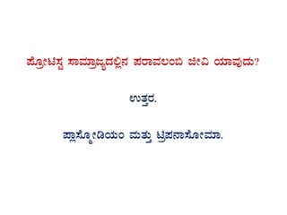 ¥ÉÆæÃn¸ÀÖ ¸ÁªÀiÁædåzÀ°è£À ¥ÀgÁªÀ®A© fÃ« AiÀiÁªÀÅzÀÄ?
GvÀÛgÀ.
¥Áè¸ÉÆäÃrAiÀÄA ªÀÄvÀÄÛ næ¥À£Á¸ÉÆÃªÀiÁ.
 