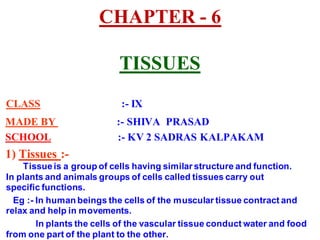 CHAPTER - 6
TISSUES
CLASS :- IX
MADE BY :- SHIVA PRASAD
SCHOOL :- KV 2 SADRAS KALPAKAM
1) Tissues :-
Tissueis a group of cells having similar structure and function.
In plants and animals groups of cells called tissues carry out
specific functions.
Eg :- In human beings the cells of the muscular tissue contract and
relax and help in movements.
In plants the cells of the vascular tissue conduct water and food
from one part of the plant to the other.
 
