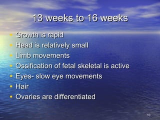 13 weeks to 16 weeks13 weeks to 16 weeks
• Growth is rapidGrowth is rapid
• Head is relatively smallHead is relatively small
• Limb movementsLimb movements
• Ossification of fetal skeletal is activeOssification of fetal skeletal is active
• Eyes- slow eye movementsEyes- slow eye movements
• HairHair
• Ovaries are differentiatedOvaries are differentiated
1010
 