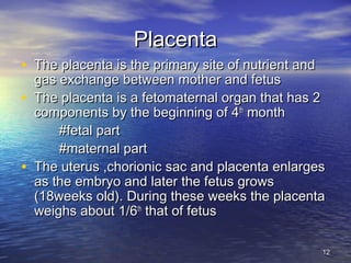 PlacentaPlacenta
• The placenta is the primary site of nutrient andThe placenta is the primary site of nutrient and
gas exchange between mother and fetusgas exchange between mother and fetus
• The placenta is a fetomaternal organ that has 2The placenta is a fetomaternal organ that has 2
components by the beginning of 4components by the beginning of 4thth
monthmonth
#fetal part#fetal part
#maternal part#maternal part
• The uterus ,chorionic sac and placenta enlargesThe uterus ,chorionic sac and placenta enlarges
as the embryo and later the fetus growsas the embryo and later the fetus grows
(18weeks old). During these weeks the placenta(18weeks old). During these weeks the placenta
weighs about 1/6weighs about 1/6thth
that of fetusthat of fetus
1212
 