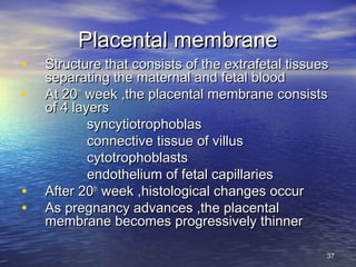 Placental membranePlacental membrane
• Structure that consists of the extrafetal tissuesStructure that consists of the extrafetal tissues
separating the maternal and fetal bloodseparating the maternal and fetal blood
• At 20At 20thth
week ,the placental membrane consistsweek ,the placental membrane consists
of 4 layersof 4 layers
syncytiotrophoblassyncytiotrophoblas
connective tissue of villusconnective tissue of villus
cytotrophoblastscytotrophoblasts
endothelium of fetal capillariesendothelium of fetal capillaries
• After 20After 20thth
week ,histological changes occurweek ,histological changes occur
• As pregnancy advances ,the placentalAs pregnancy advances ,the placental
membrane becomes progressively thinnermembrane becomes progressively thinner
3737
 