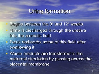 Urine formationUrine formation
• Begins between the 9Begins between the 9thth
and 12and 12thth
weeksweeks
• Urine is discharged through the urethraUrine is discharged through the urethra
into the amniotic fluidinto the amniotic fluid
• Fetus reabsorbs some of this fluid afterFetus reabsorbs some of this fluid after
swallowing itswallowing it
• Waste products are transferred to theWaste products are transferred to the
maternal circulation by passing across thematernal circulation by passing across the
placental membraneplacental membrane
99
 