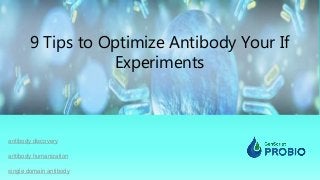 9 Tips to Optimize Antibody Your If
Experiments
antibody humanization
single domain antibody
antibody discovery
 