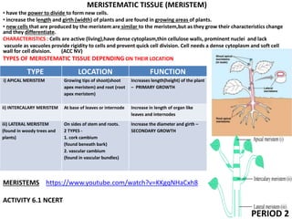 MERISTEMATIC TISSUE (MERISTEM)
• have the power to divide to form new cells.
• increase the length and girth (width) of plants and are found in growing areas of plants.
• new cells that are produced by the meristem are similar to the meristem,but as they grow their characteristics change
and they differentiate.
CHARACTERISTICS : Cells are active (living),have dense cytoplasm,thin cellulose walls, prominent nuclei and lack
vacuole as vacuoles provide rigidity to cells and prevent quick cell division. Cell needs a dense cytoplasm and soft cell
wall for cell division. (ACC NV)
TYPES OF MERISTEMATIC TISSUE DEPENDING ON THEIR LOCATION
MERISTEMS https://www.youtube.com/watch?v=KKgqNHaCxh8
ACTIVITY 6.1 NCERT
TYPE LOCATION FUNCTION
i) APICAL MERISTEM Growing tips of shoot(shoot
apex meristem) and root (root
apex meristem)
Increases length(height) of the plant
– PRIMARY GROWTH
ii) INTERCALARY MERISTEM At base of leaves or internode Increase in length of organ like
leaves and internodes
iii) LATERAL MERISTEM
(found in woody trees and
plants)
On sides of stem and roots.
2 TYPES -
1. cork cambium
(found beneath bark)
2. vascular cambium
(found in vascular bundles)
Increase the diameter and girth –
SECONDARY GROWTH
PERIOD 2
 