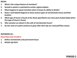 RECAP:
1. What is the unique feature of meristem?
2. Growth in plants is restricted to certain regions.Explain.
3. What happens to apical meristem when it looses its ability to divide?
4. Draw a well labeled diagram to show various types of meristematic tissue and their
location.
5. What type of tissue is found at the shoot apex?Name one more part of plant body where
this type of tissue is found.
6. Why vacuoles are absent in the cells of meristematic tissue?
7. Do the roots of a plant continue to grow after their tips are removed?Give reason.
NOTEBOOK Q’s:
Draw flow chart of slide 4
1. Define meristematic and permanent tissue
2. INTEXT Q2 PG74
PERIOD 2
 