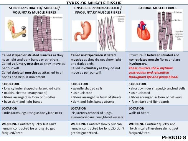 9 tissues ppt