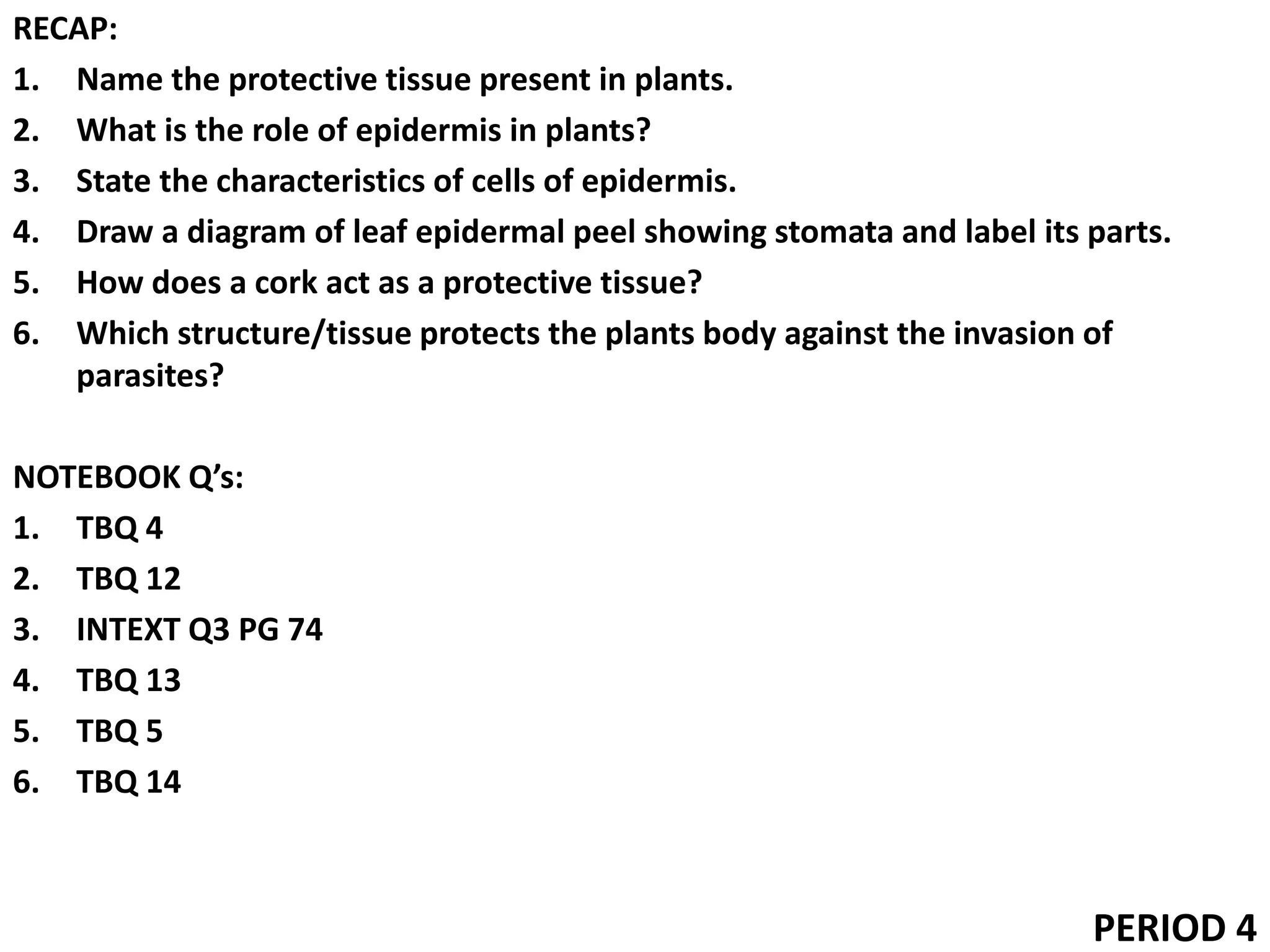 RECAP:
1. Name the protective tissue present in plants.
2. What is the role of epidermis in plants?
3. State the characteristics of cells of epidermis.
4. Draw a diagram of leaf epidermal peel showing stomata and label its parts.
5. How does a cork act as a protective tissue?
6. Which structure/tissue protects the plants body against the invasion of
parasites?
NOTEBOOK Q’s:
1. TBQ 4
2. TBQ 12
3. INTEXT Q3 PG 74
4. TBQ 13
5. TBQ 5
6. TBQ 14
PERIOD 4
 