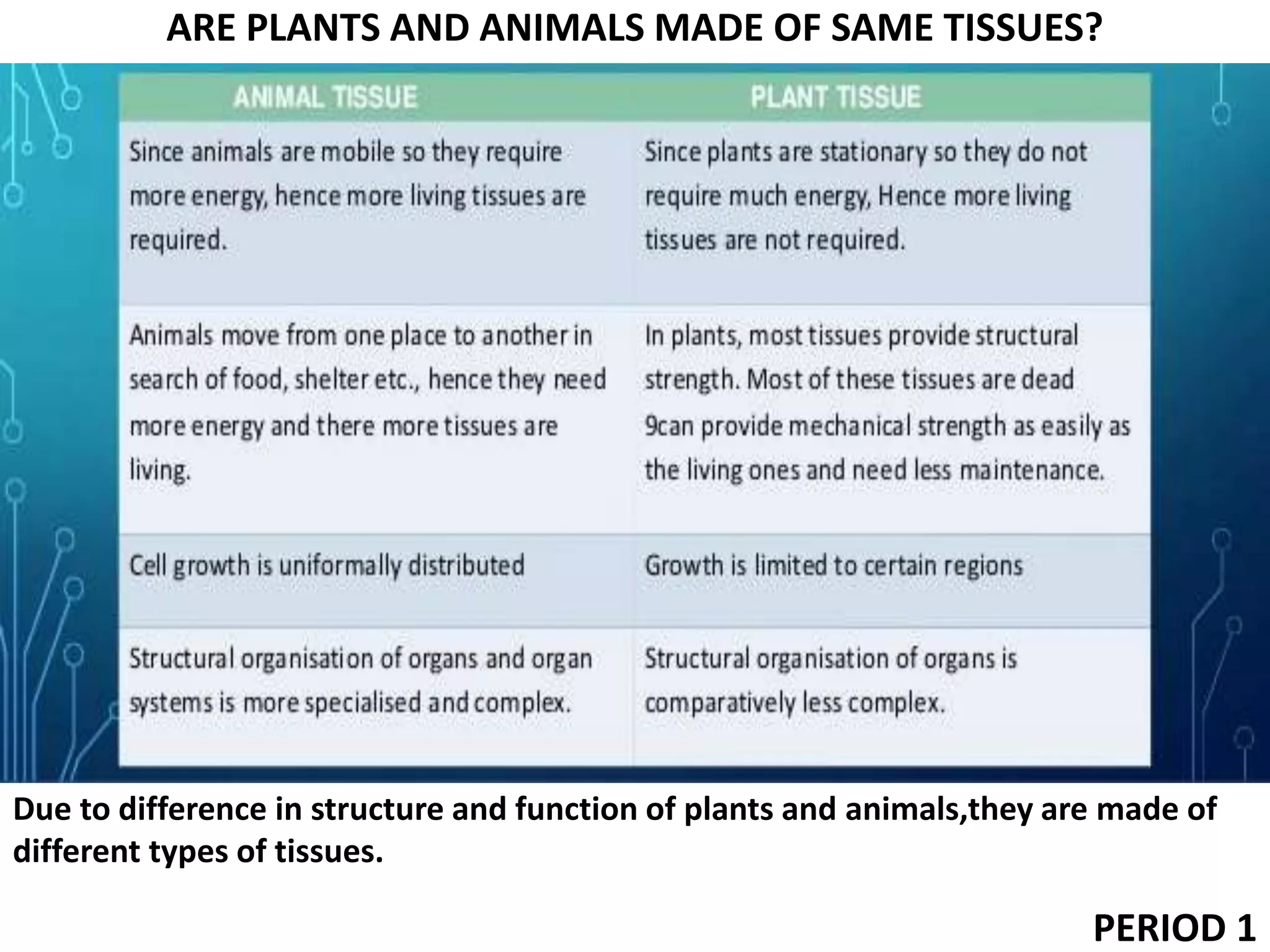 ARE PLANTS AND ANIMALS MADE OF SAME TISSUES?
Due to difference in structure and function of plants and animals,they are made of
different types of tissues.
PERIOD 1
 