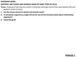 NOTEBOOK WORK:
SUBTOPIC: ARE PLANTS AND ANIMALS MADE OF SAME TYPES OF CELLS
Tissue : A group of cells that are similar in structure and origin (come from same parent cell) and
perform similar function.
1. Are the tissues present in plants and animals same?
2. In unicellular organisms,a single cell carries out all the functions,what about multicellular
organisms?
3. Intext Q2 pg 69
PERIOD 1
 