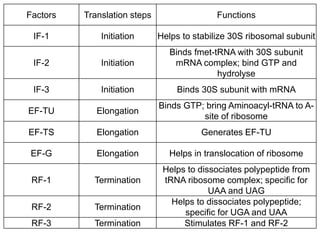 9 Translation.ppt