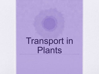 Transport in
Plants
 