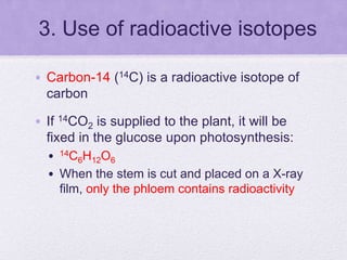9_ Transport in Plants.ppt
